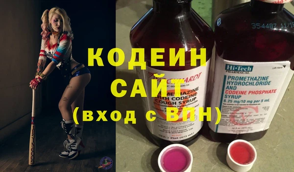 2c-b Бородино
