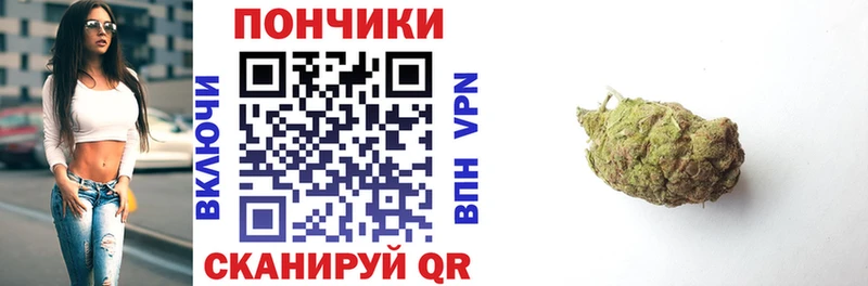 omg ONION  Гатчина  Марихуана марихуана 